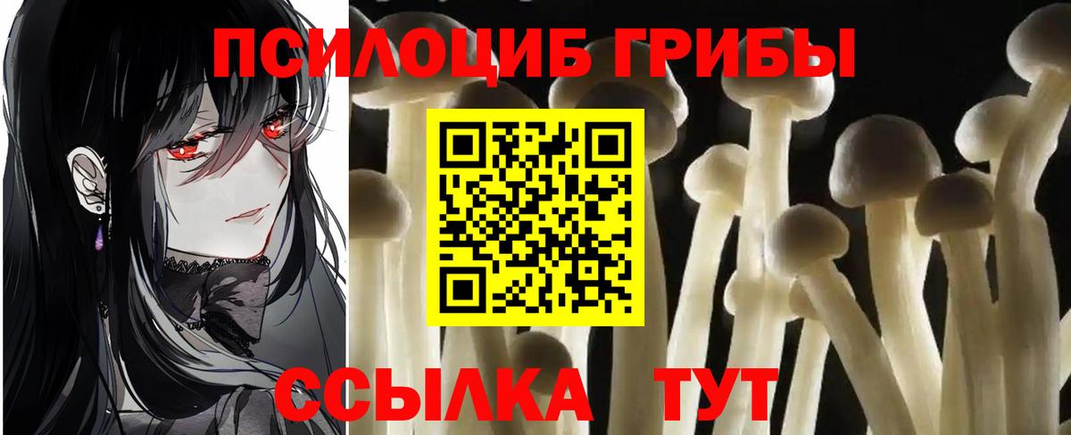 Галлюциногенные грибы ЛСД Биробиджан